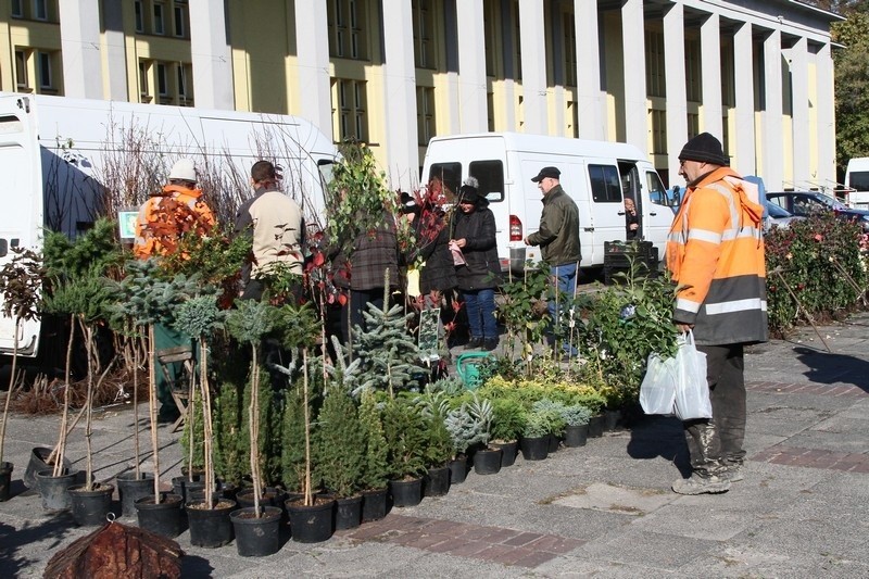 Kiermasz działkowca pod Halą Sportową 