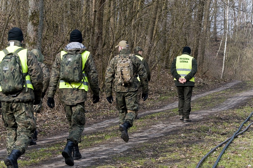 Poszukiwania dzików chorych na afrykański pomór świń (ASF) w...