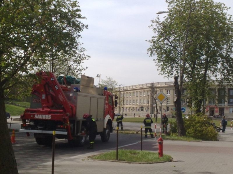 Białystok: Drzewo w centrum miasta groziło zawaleniem! (zdjęcia)
