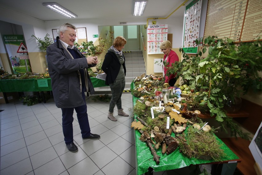 Grzyby jadalne, niejadalne i trujące można zobaczyć w...