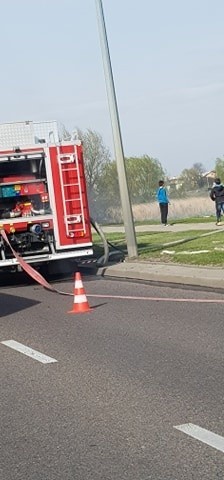 Białystok. Pożar na ul. Jana Pawła II w okolicach sklepu Decathlon. Trzy zastępy zostały wysłane do palących się traw (ZDJĘCIA]