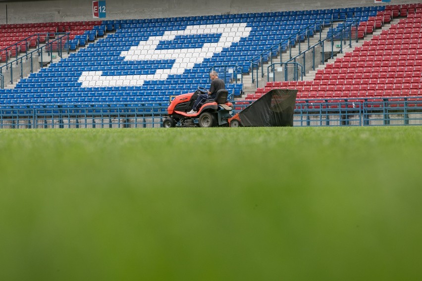 Stadion Wisły. Nowa murawa czeka na reprezentację [WIDEO, ZDJĘCIA]