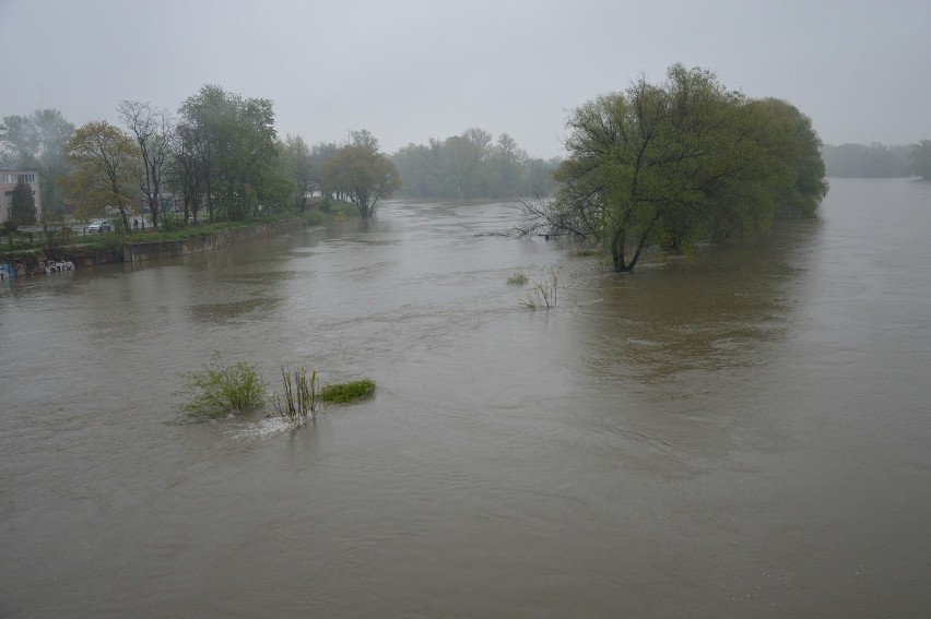 Odra i Czarna znów straszą. Zalane łąki i stan alarmowy