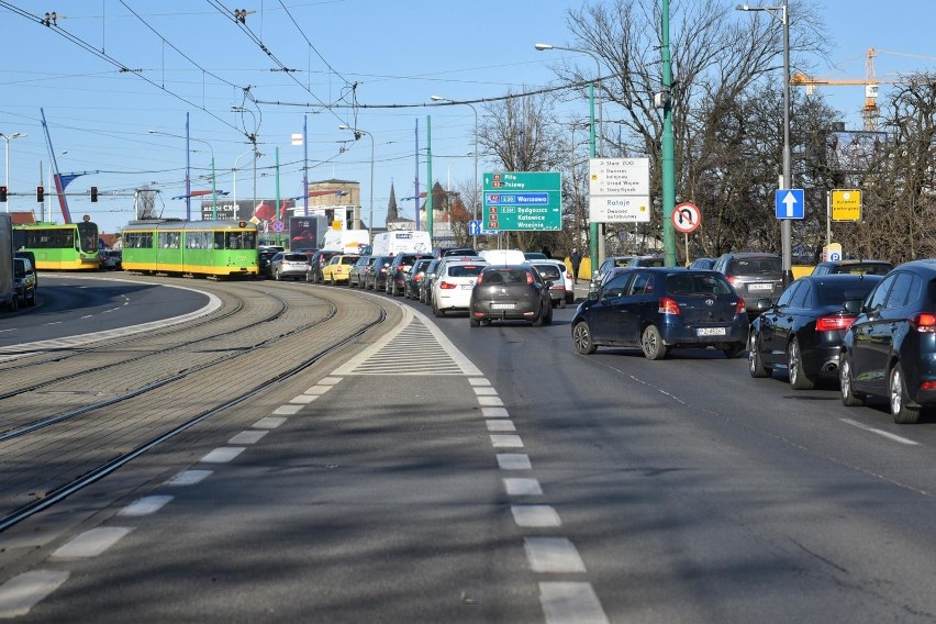 Piątkowo, Naramowice, Wilda, Jeżyce czy Rataje -...