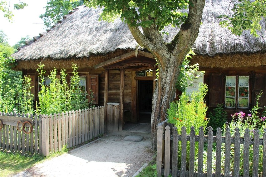 Piękne podlaskie wiejskie chaty i tradycyjne ogrody. Co za klimat! Takie cuda tylko w naszym regionie (zdjęcia)