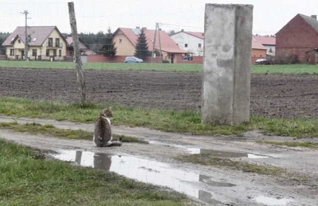 Do dramatu doszło w Klenicy koło Zielonej Góry.