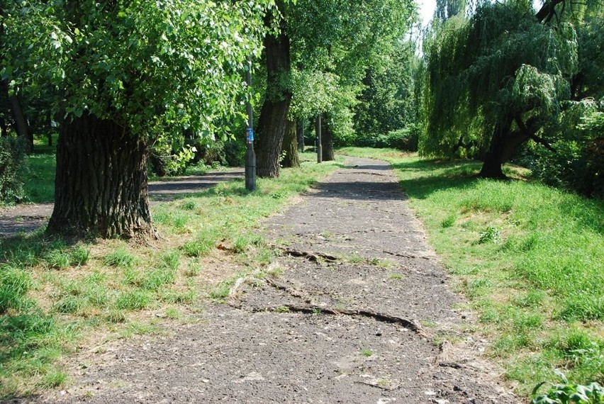 Sosnowiec: Bulwar Czarnej Przemszy dla rowerzystów i spacerowiczów?