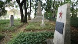 Czerwone gwiazdy Armii Radzieckiej przy wjeździe do Czerska zostają. Władze nic z tym nie zrobią [WIDEO]