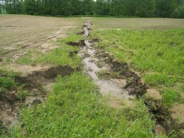 Przez powódź rolnicy z Baranowa Sandomierskiego stracili swoje uprawy
