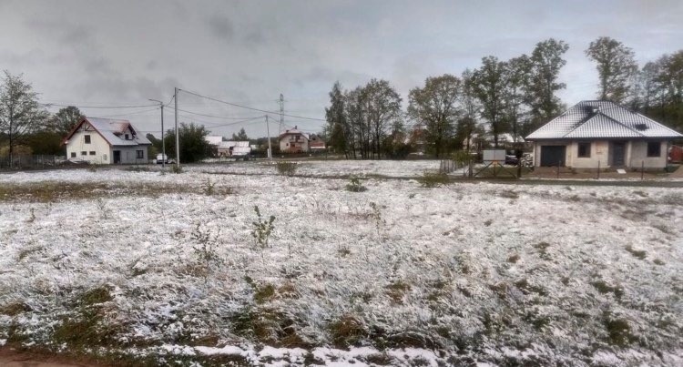 Ostrołęka. Zima w maju, 12.05.2020. Nad ranem po ulewnym deszczu spadł śnieg. Zdołaliśmy uwiecznić ten moment. Zdjęcia i wideo