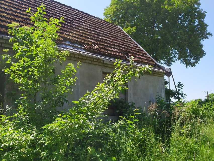 Brzeźnica - opuszczona wieś w powiecie łobeskim