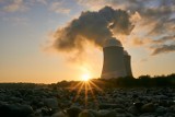 Partia Zieloni dopytuje się o elektrownię jądrową na Kaszubach. Inwestor odpowiada