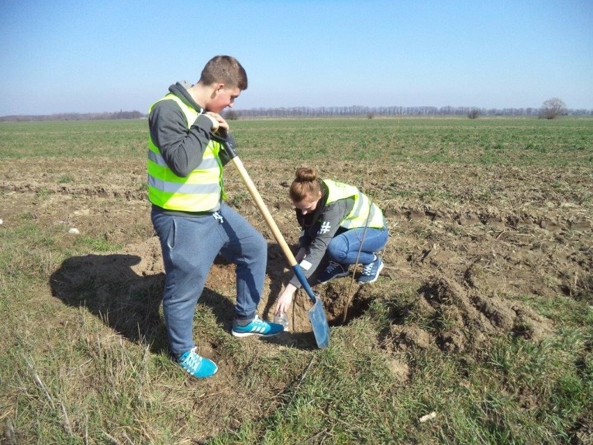 Rolnicy muszą kolejny rok zmagać się z suszą, która niszczy...