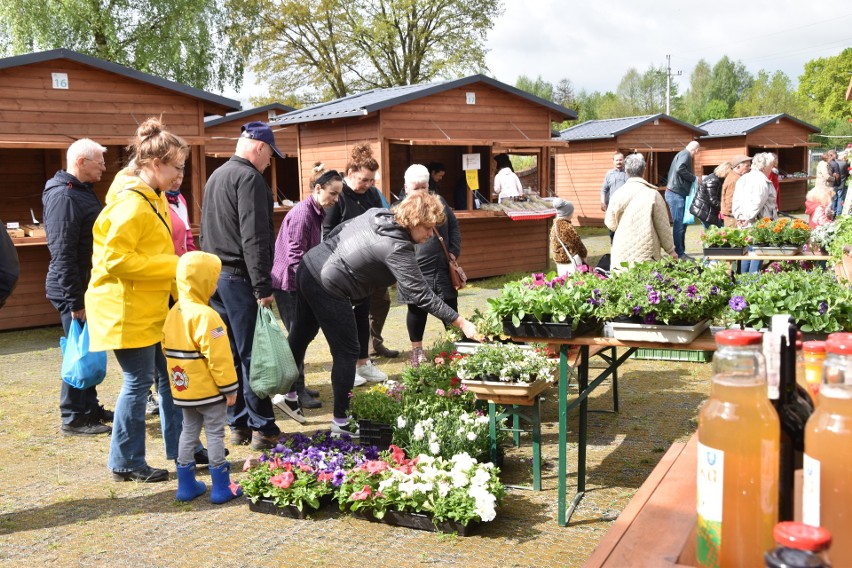 Bazarek Natury, Noc Kupały, urodziny Lądowiska Kultury i...