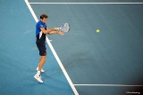 Turniej ATP w Wiedniu. Triumf Miedwiediewa i awans na trzecie miejsce w rankingu