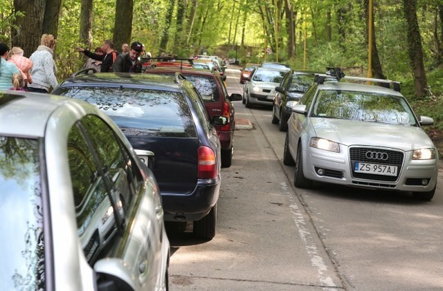 Sprzątanie jeziora Szmaragdowego w Szczecinie