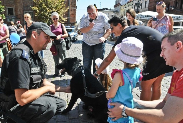 Święto policji w ToruniuObchodom towarzyszył pokaz psów służbowych garnizonu toruńskiej policji