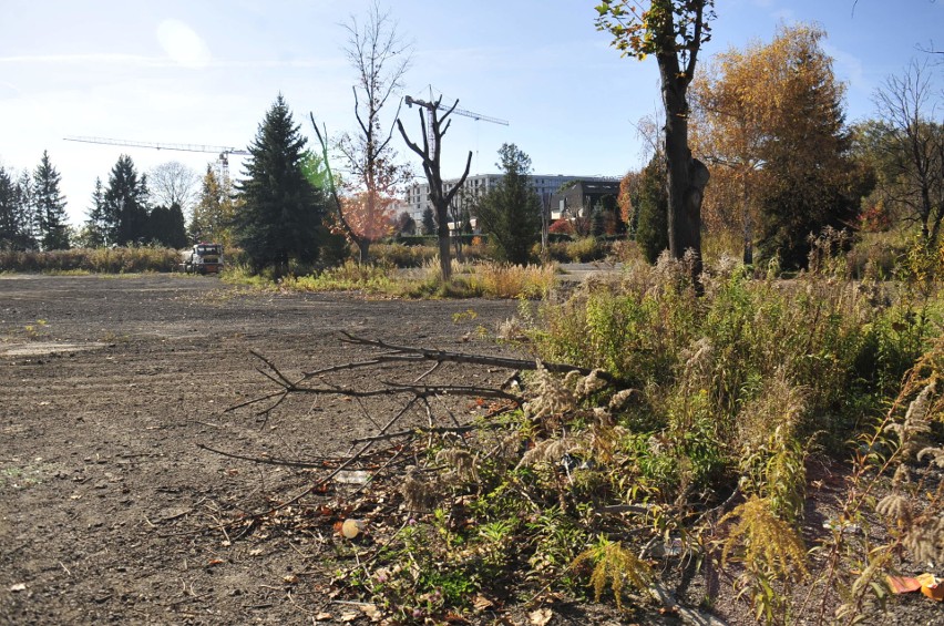 Kraków. Kuria chce kościoła w miejscu motelu Krak 