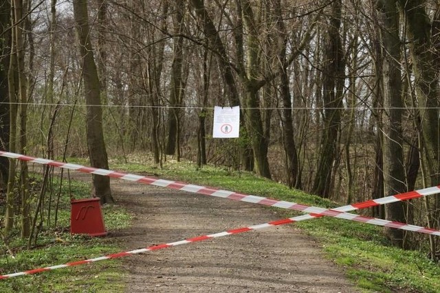 Strażacy apelują o rozwagę i przestrzeganie tymczasowego zakazu wejścia do lasów w Polsce.