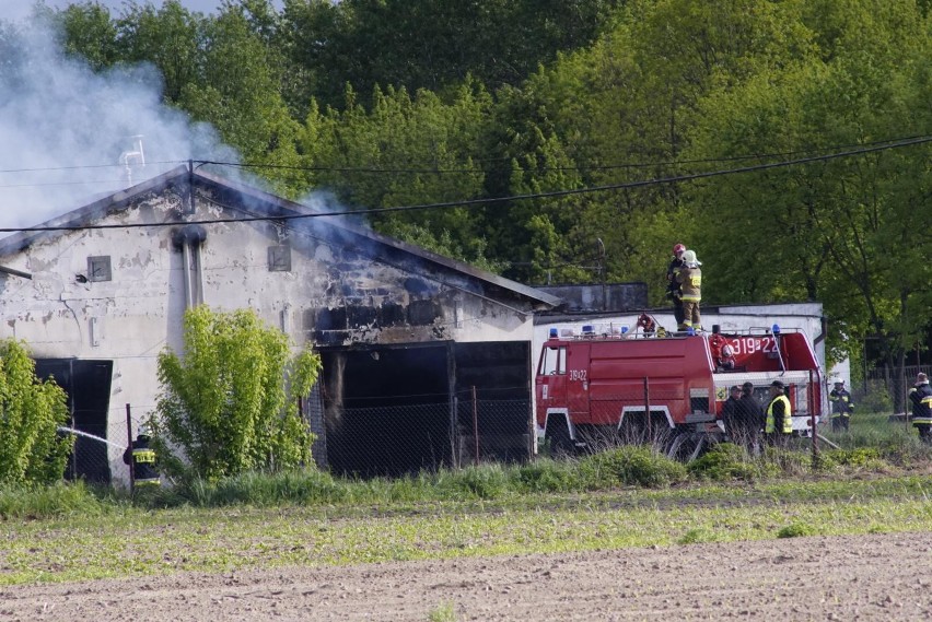 W akcji brało udział 28 zastępów straży pożarnej, zawodowych...