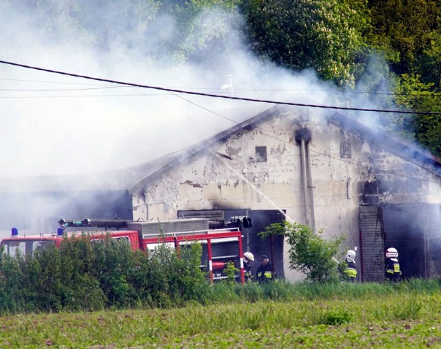 W akcji brało udział 28 zastępów straży pożarnej, zawodowych i ochotniczych, w sumie ponad stu strażaków.Zobacz kolejne zdjęcie --->