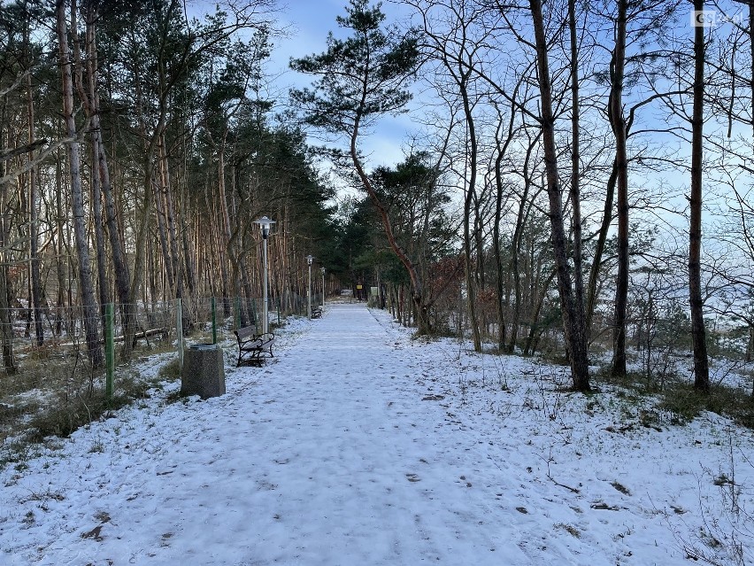 Spór o ścieżkę rowerową ze Świnoujścia do Międzyzdrojów 