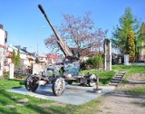 Posprzątali wokół armaty przy Muzeum Historycznym Miasta Tarnobrzega