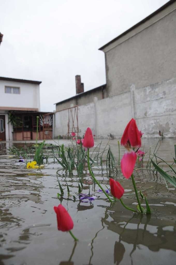 PowódL na OpolszczyLnie 2010. Powiat...