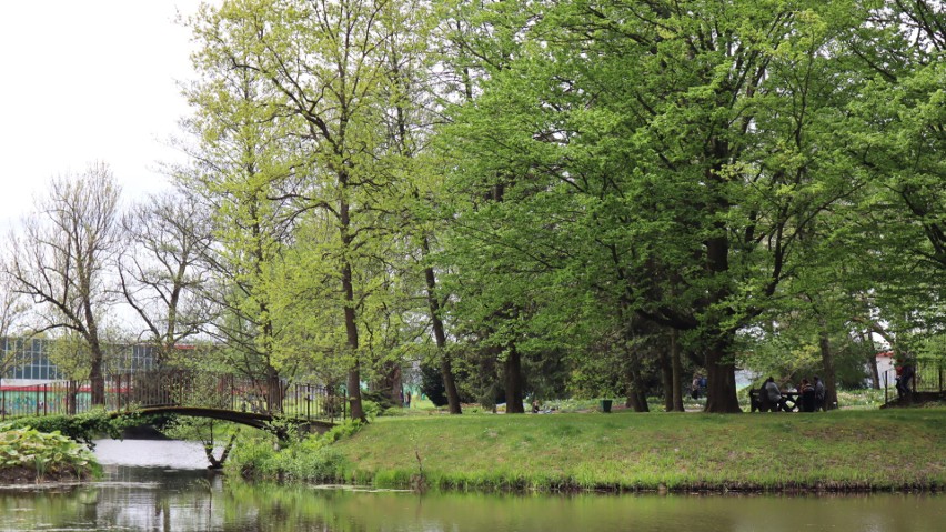 Ogród Botaniczny w Lublinie zachwyca! Zobacz zdjęcia z niedzielnego spaceru [18.05]