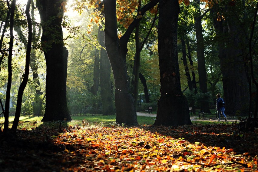 Pogoda na jesień w województwie lubelskim. Najcieplejszy dzień jesieni już dzisiaj