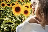 Piękne kobiety w polach słoneczników. Po selfie w lawendzie przyszła pora na słoneczniki. Zobaczcie!