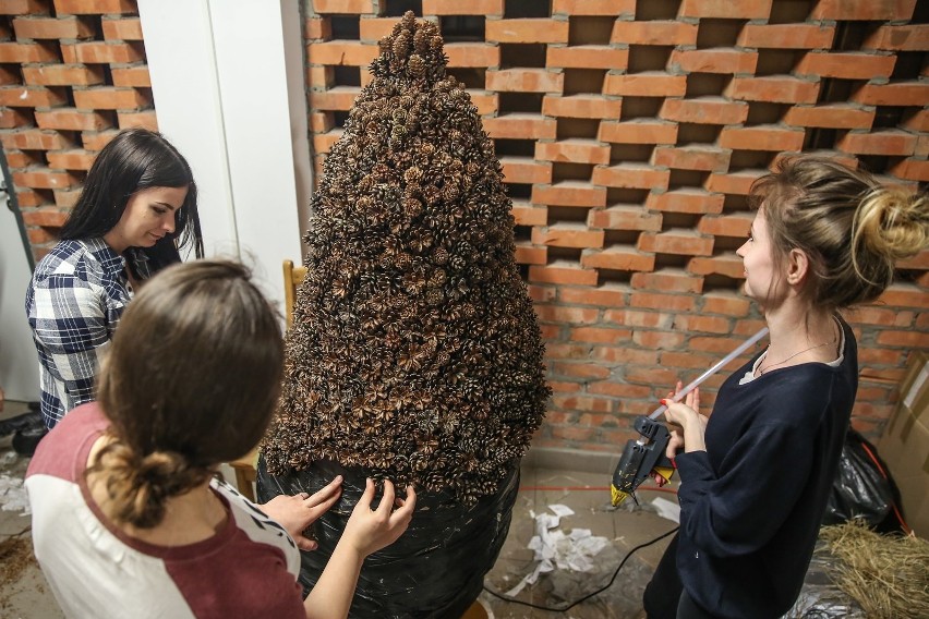 Studenci szykują się do weekendu z florystyką w Lublinie. Nie wszystko musi być "ładne" (ZDJĘCIA)