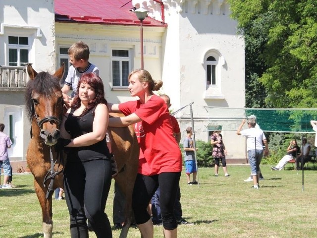 Wśród wielu prowadzonych zajęć w grębowskim ośrodku, do najpopularniejszych wśród uczestników należą zajęcia z hippoterapii.