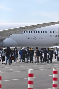 Samolotem z Wrocławia do Seulu? Trwają rozmowy z Koreańczykami