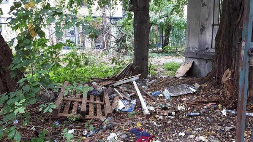 Kraków. Park Jalu Kurka niszczeje. Czy uda się go wywłaszczyć? Jest projekt uchwały