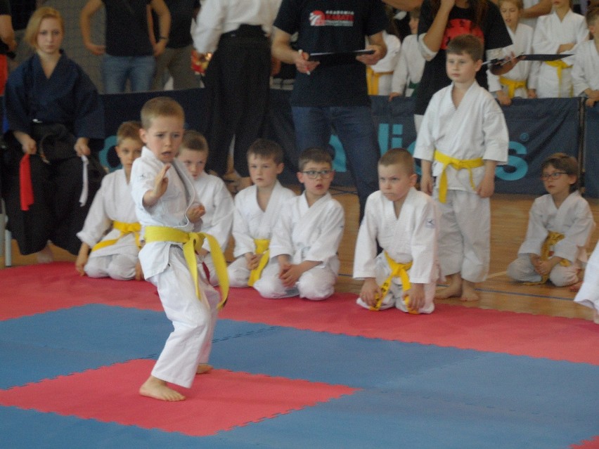 Bytom: Silesia Cup 2016 karate w Hali na Skarpie