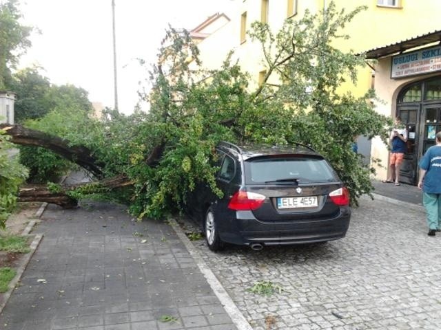 Gwałtowne burze przeszły nad Łódzkiem: brak prądu, zniszczone budynki, powalone drzewa [ZDJĘCIA]