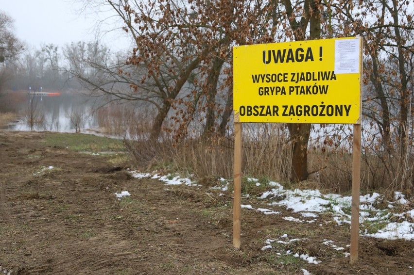 - Obecnie, z uwagi na zaistniałą sytuację, zaleca się...