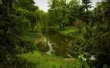 Park Centralny w Brzegu coraz piękniejszy tej wiosny. Zobaczcie zdjęcia