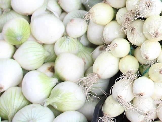 W Stalowej Woli cebulę sałatkową można kupić w cenie od 2,50 do 3 zł za kilo, cebulę wolską do 2 zł za kilo, a czerwoną po 3 złote.