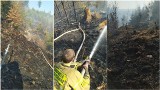 Wielki pożar w Złatnej w pow. żywieckim. Spłonęło 7 hektarów lasu!