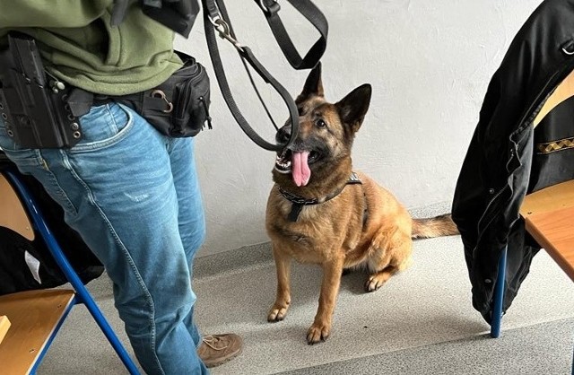 Policjanci zawiadomili o sprawie sąd rodzinny.