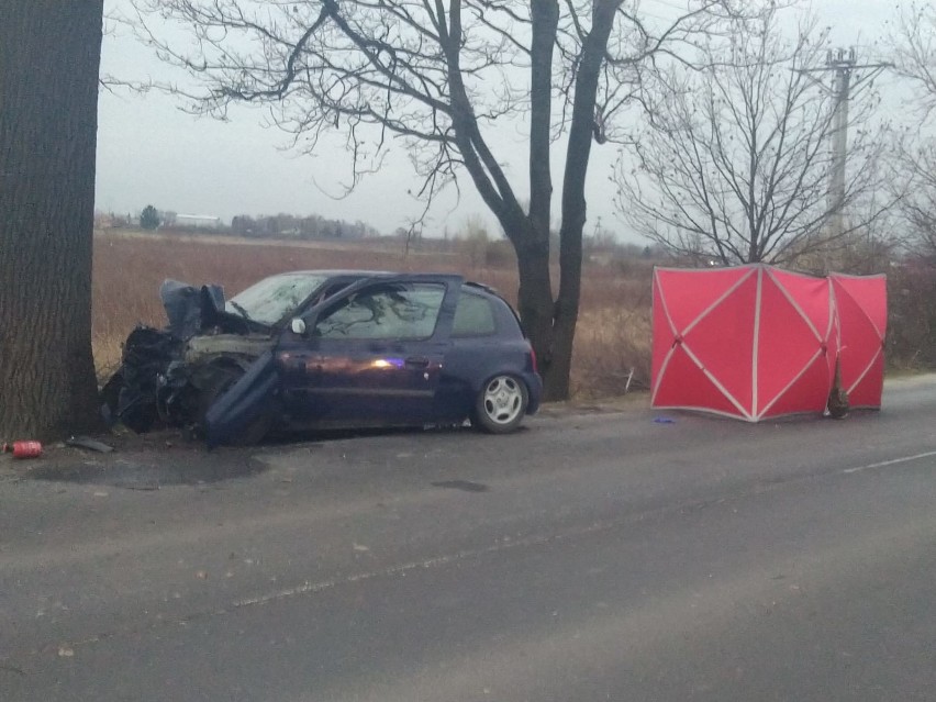 Śmiertelny wypadek we Wrocławiu. Renault uderzyło w drzewo