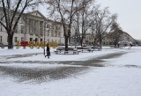 Zima w Radomiu. Zobacz urokliwe zdjęcia białego miasta
