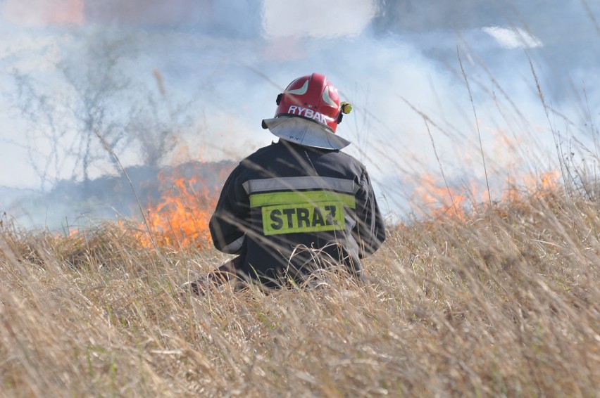 Strażacy, leśnicy i inne służby przyznają, że pożary traw to...