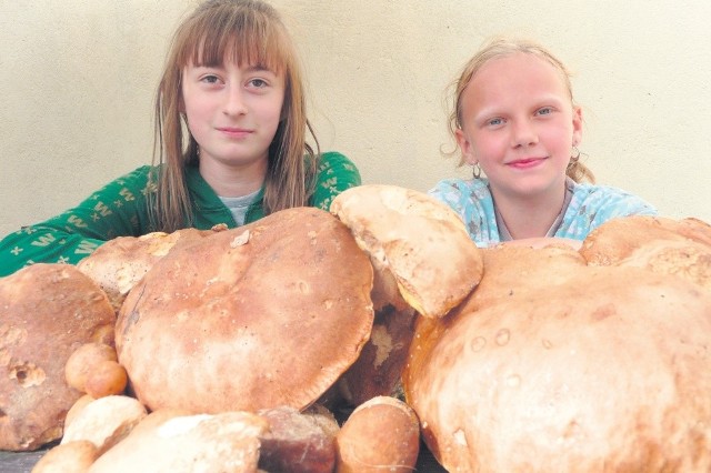 Marta i Paula są dumne z zebranych przez siebie prawdziwków. Takie okazy rosły w lesie koło Bytowa.