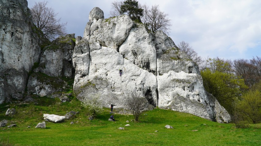 Skały Rzędkowickie to imponująca kraina skał wapiennych...