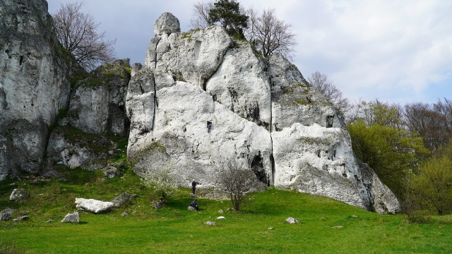 Skały Rzędkowickie to imponująca kraina skał wapiennych rozciągająca się na obszarze ponad jednego kilometra.