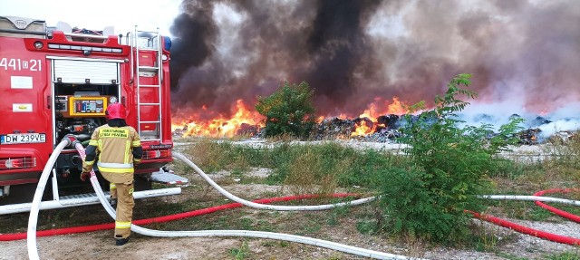 Wielki pożar w Sobolewie pod Wrocławiem. Płonie nielegalne wysypisko śmieci