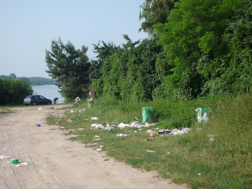 Tak wygląda okolica jednej z plaż nad zalewem w pobliżu...